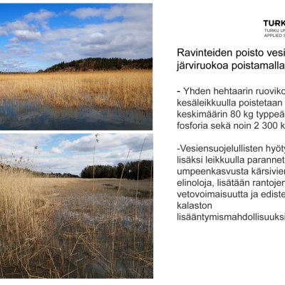 livonsaariprojekti-juha-k-ri-tuamk-2509-2022-page-09