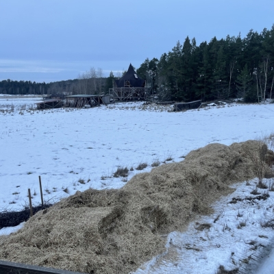 Photo-29.1.2024-16.15.51