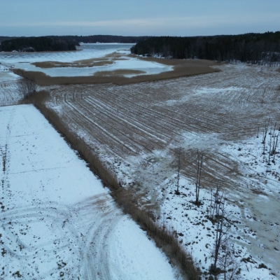 Photo-29.1.2024-16.16.45