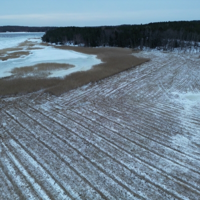 Photo-29.1.2024-16.17.07