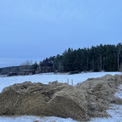 Photo-29.1.2024-16.17.12