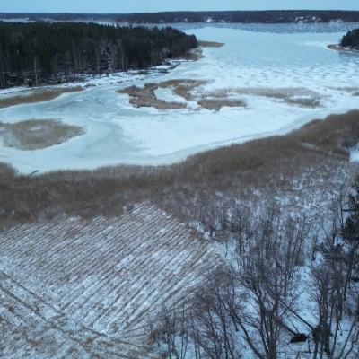 Photo-29.1.2024-16.17.50