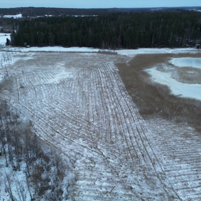 Photo-29.1.2024-16.17.59