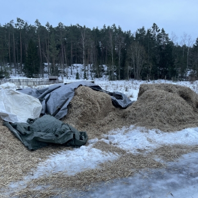 Photo-29.1.2024-16.18.02