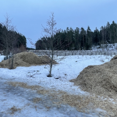 Photo-29.1.2024-16.18.03