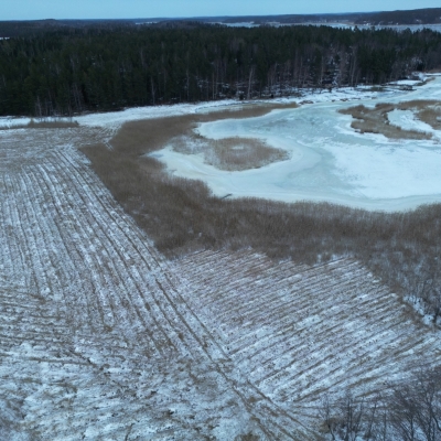 Photo-29.1.2024-16.18.05