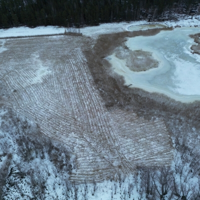 Photo-29.1.2024-16.18.52