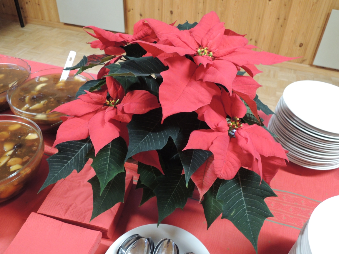 Joulumyyjäiset pe 19.12. klo 17-19